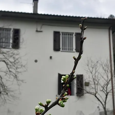 Appartement Ai Domenichetti