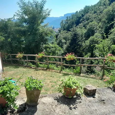 Ai Domenichetti Barga
