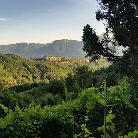Ai Domenichetti Barga