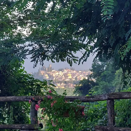 Ai Domenichetti Barga