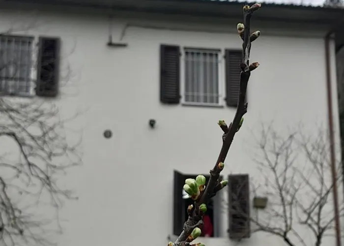 Apartman Ai Domenichetti