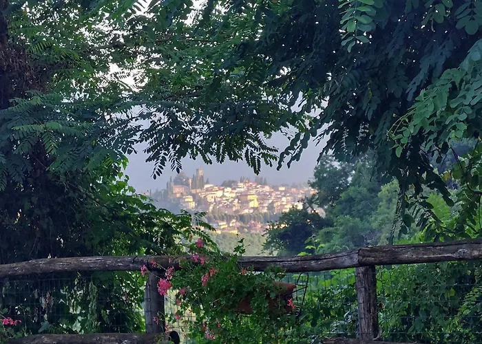 Ai Domenichetti Barga